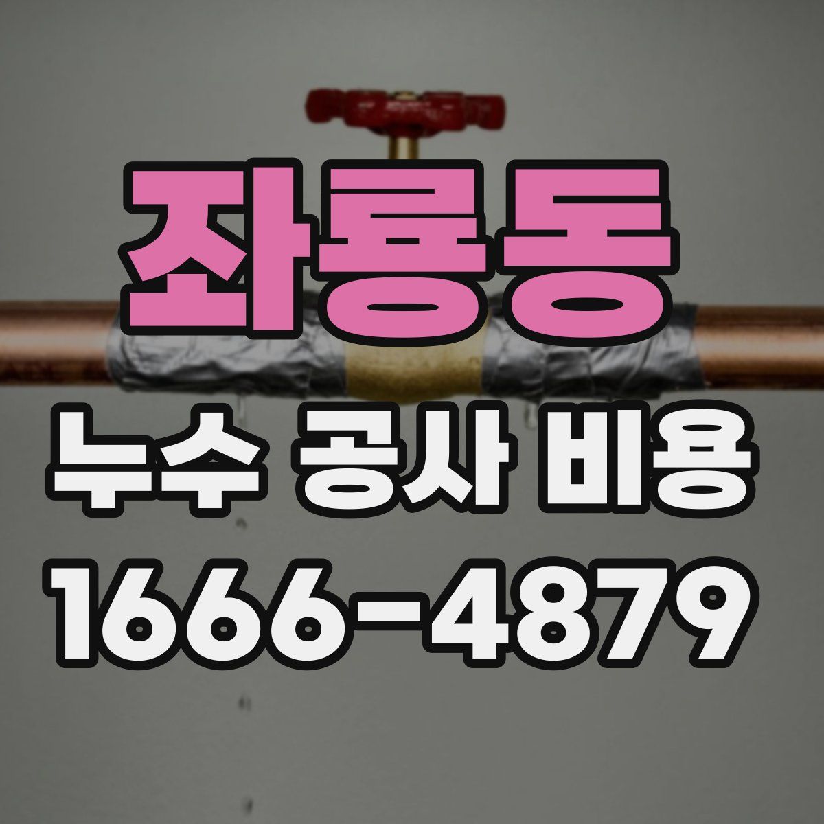 좌룡동 누수 공사 비용