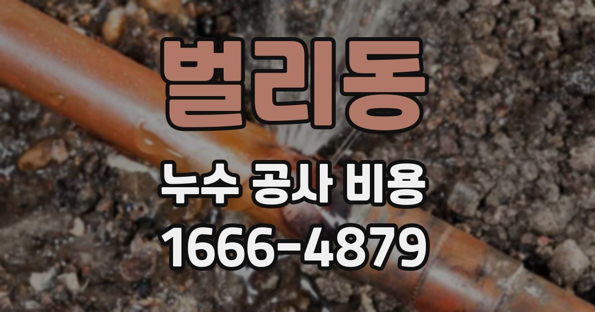 벌리동 누수 공사 비용