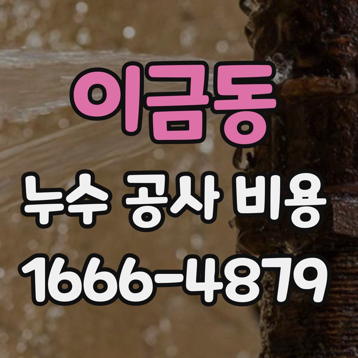 이금동 누수 공사 비용