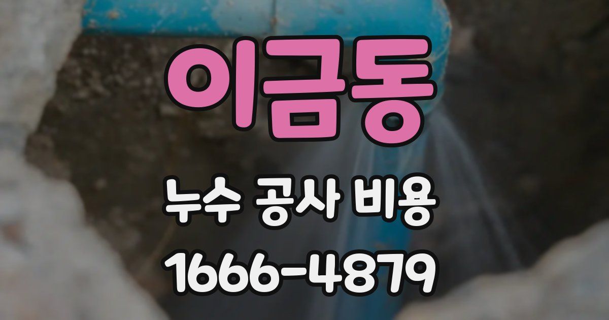 이금동 누수 공사 비용