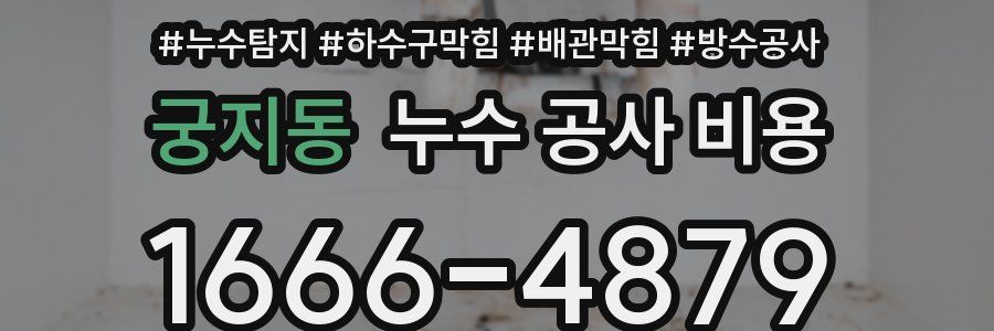 궁지동 누수 공사 비용