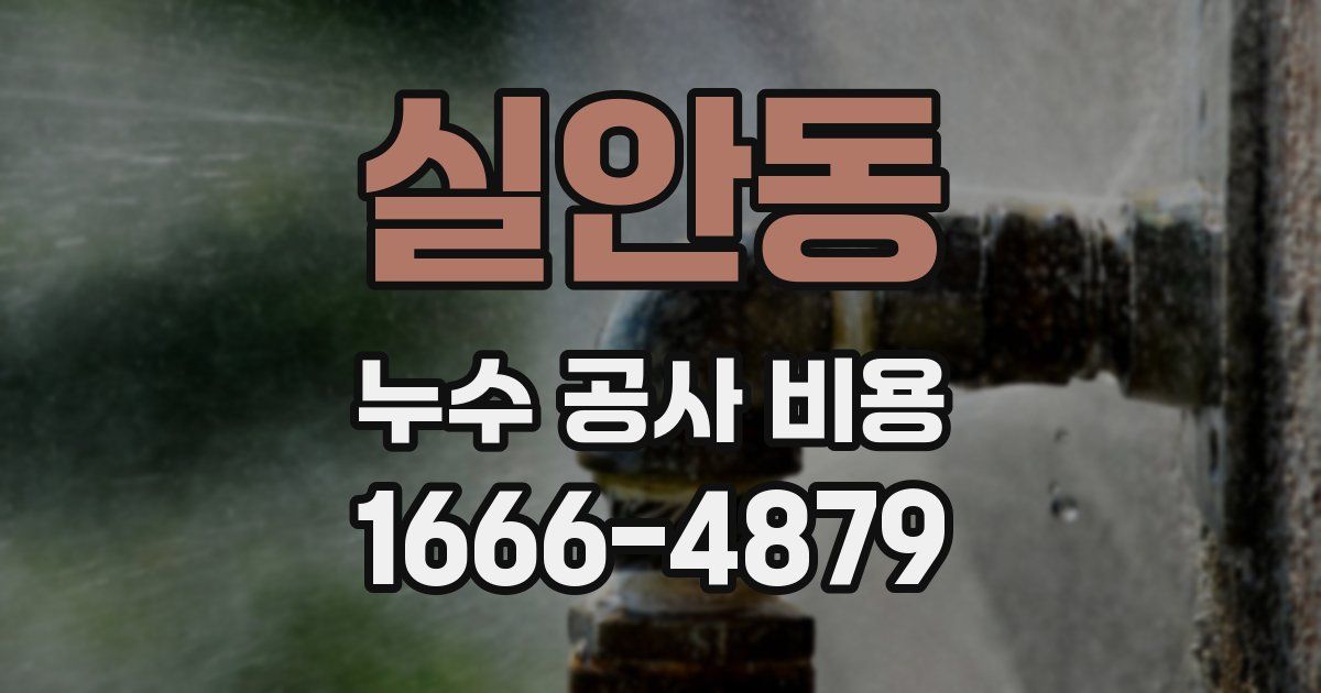 실안동 누수 공사 비용