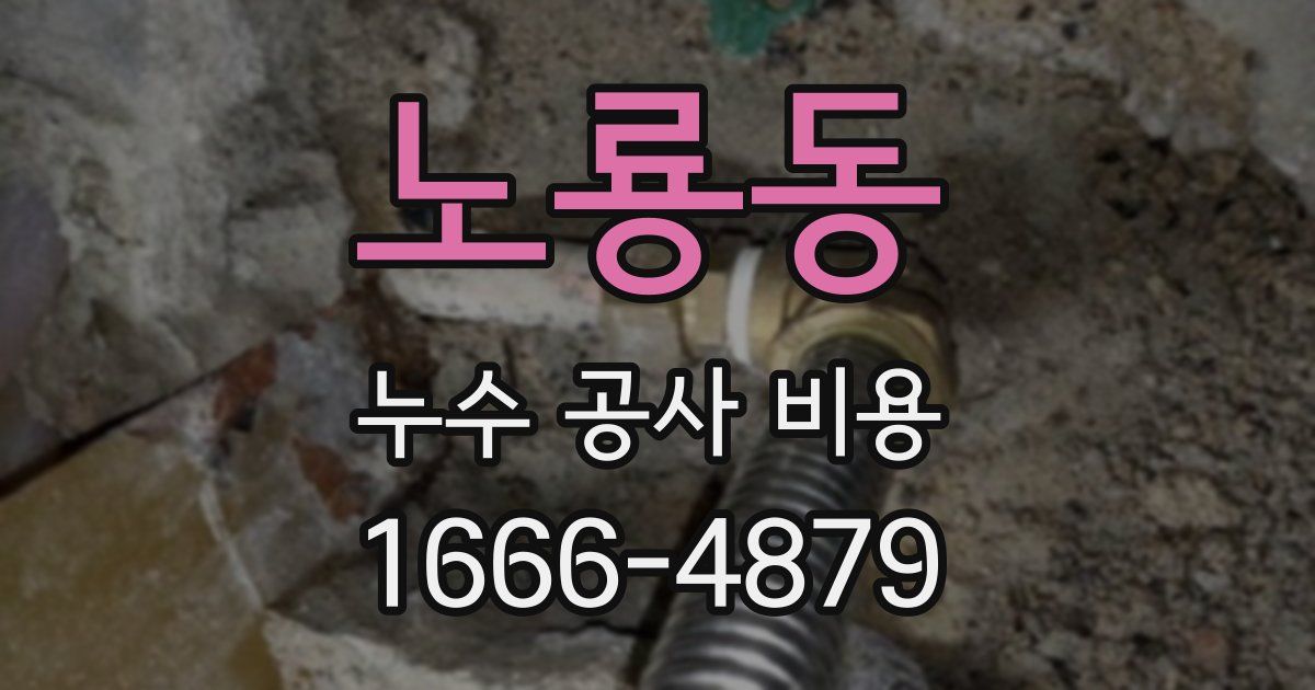 노룡동 누수 공사 비용
