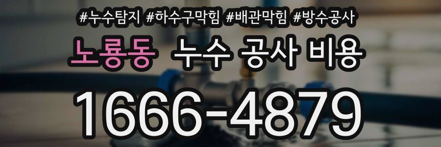 노룡동 누수 공사 비용
