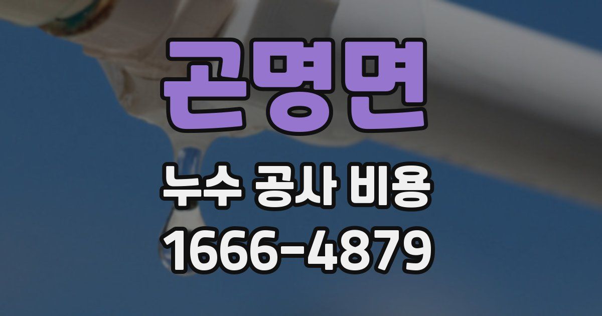 곤명면 누수 공사 비용