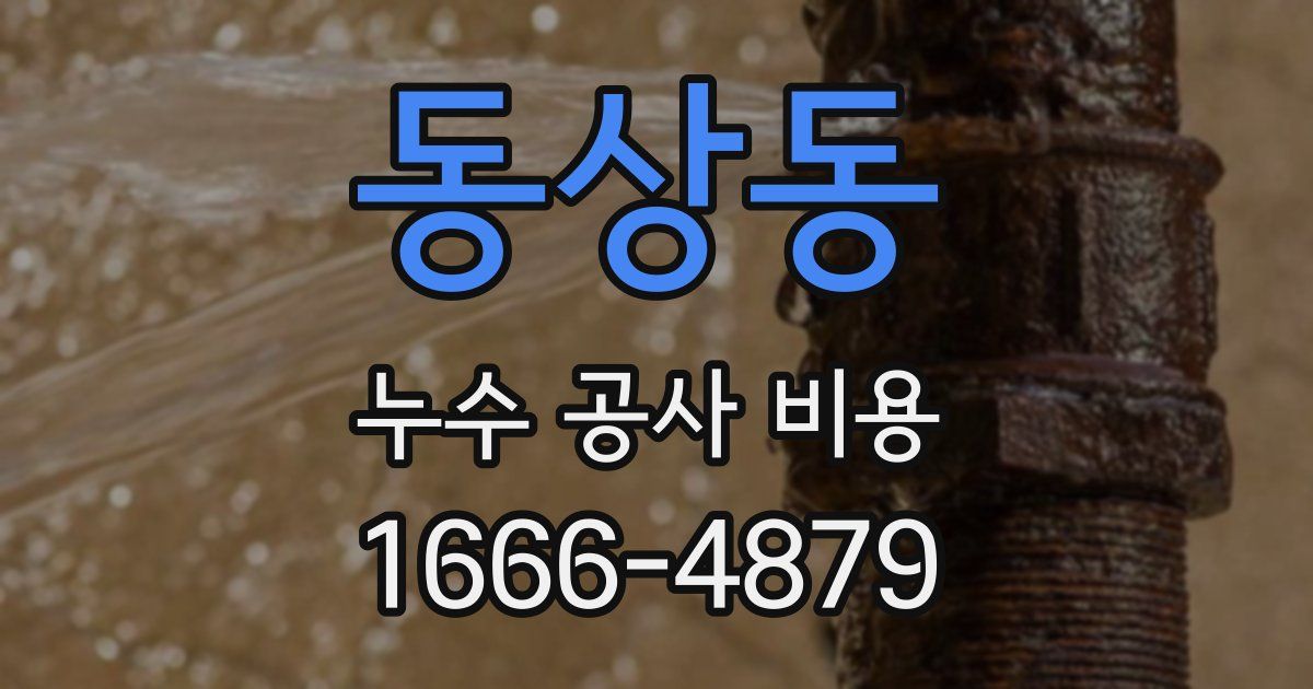 동상동 누수 공사 비용
