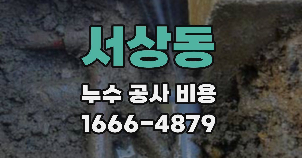 서상동 누수 공사 비용