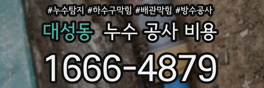 대성동 누수 공사 비용