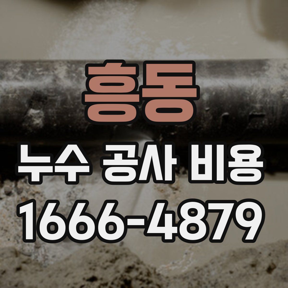 흥동 누수 공사 비용