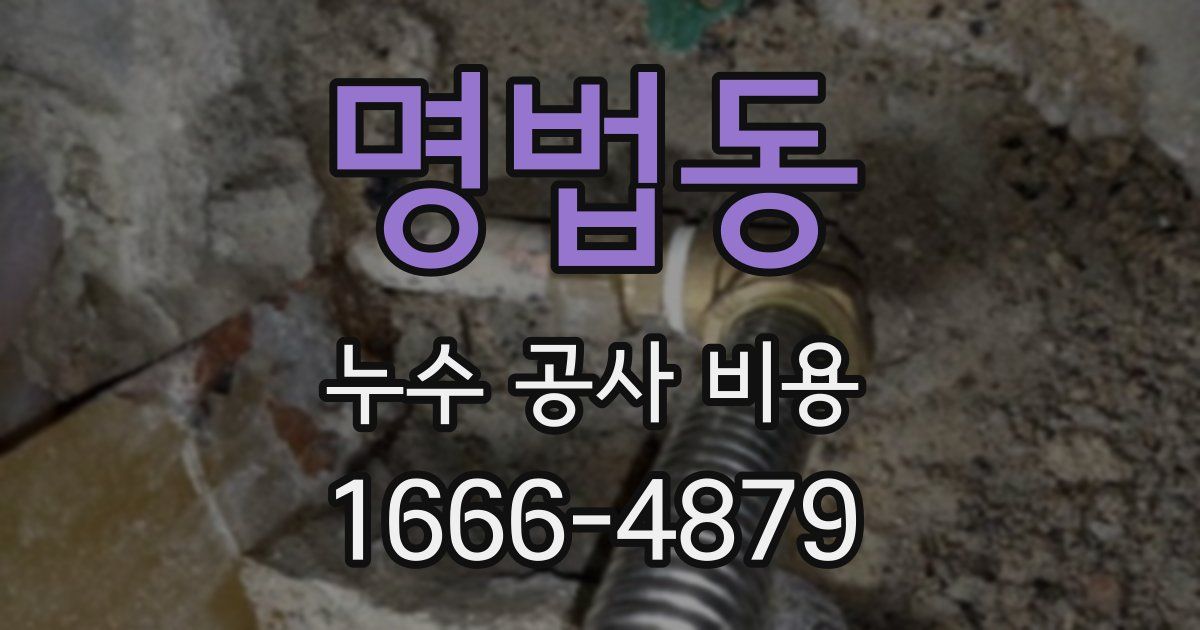 명법동 누수 공사 비용