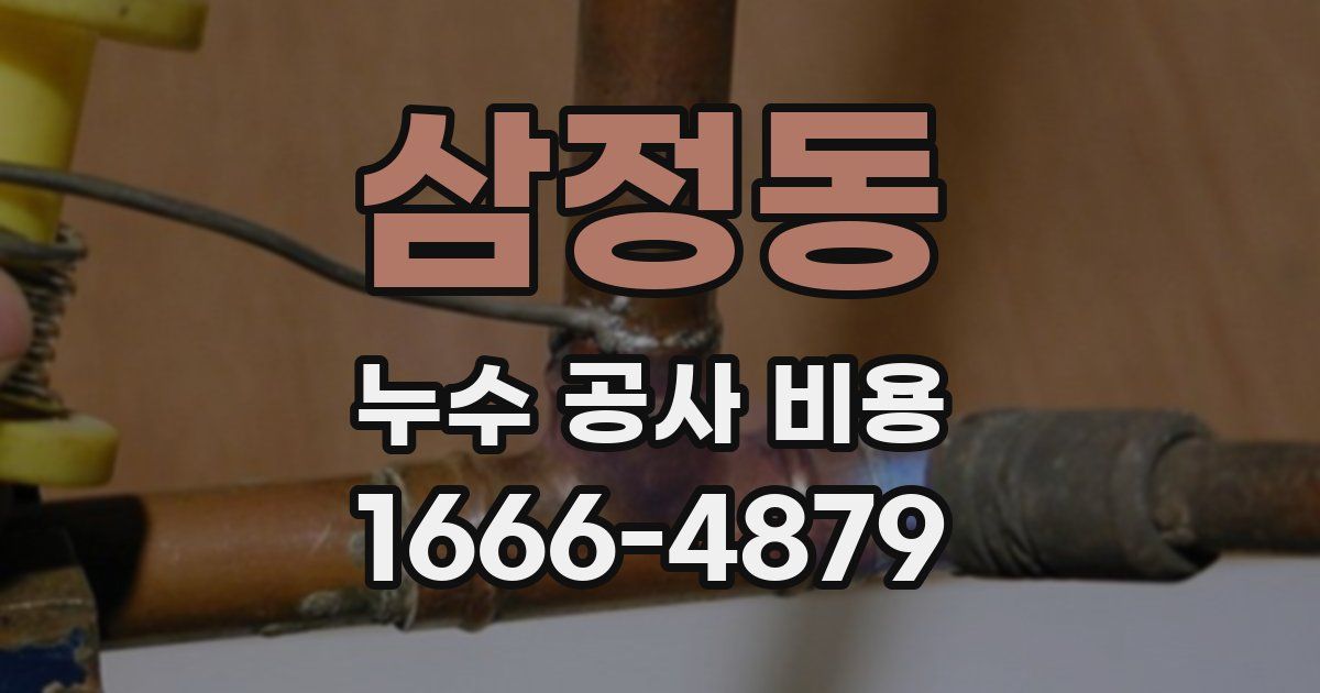 삼정동 누수 공사 비용
