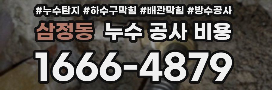 삼정동 누수 공사 비용