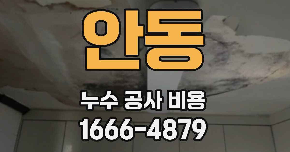 안동 누수 공사 비용