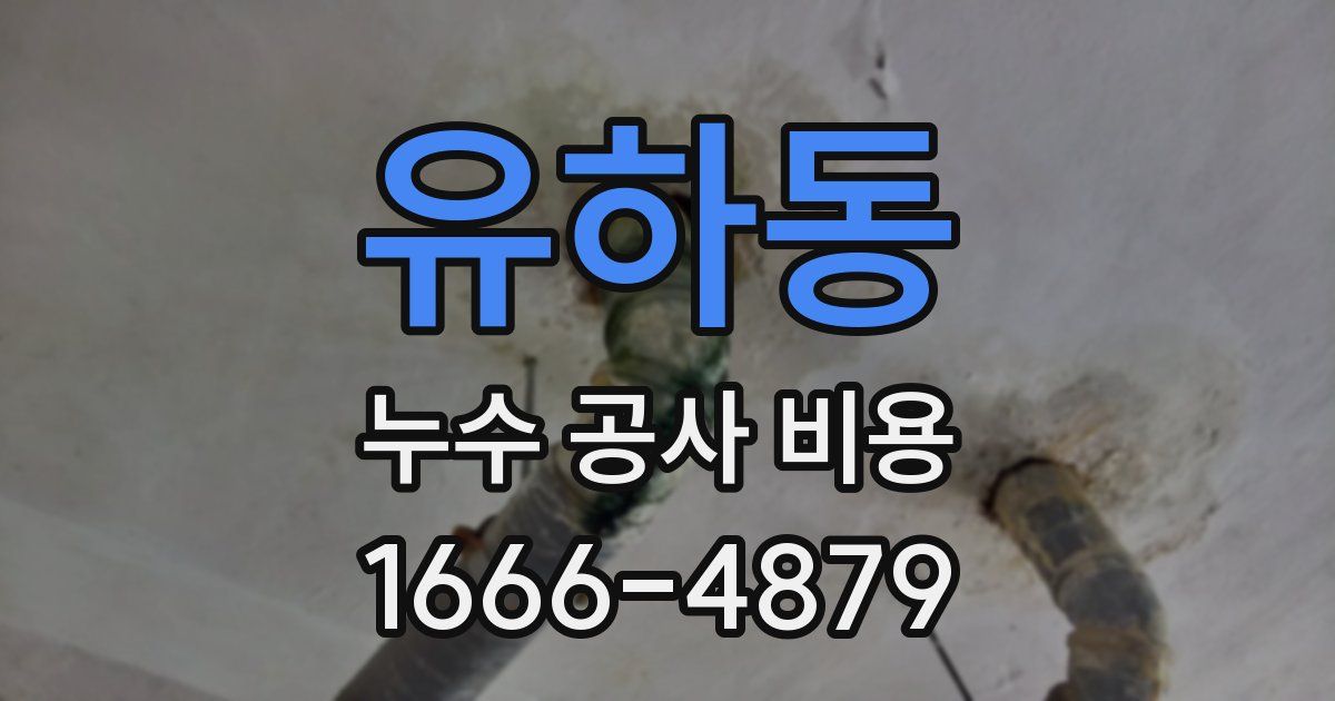 유하동 누수 공사 비용