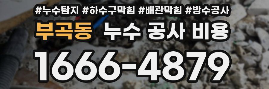 부곡동 누수 공사 비용