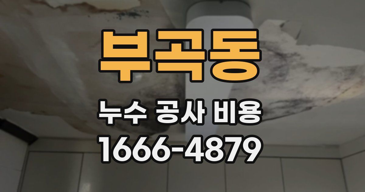 부곡동 누수 공사 비용