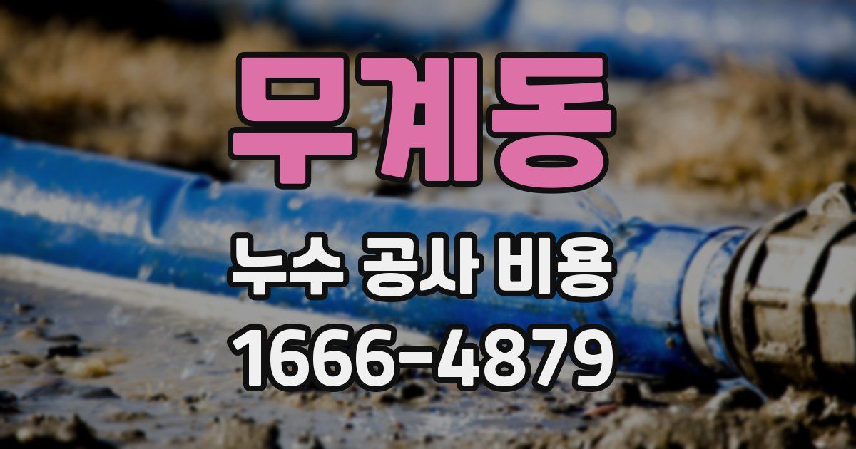 무계동 누수 공사 비용