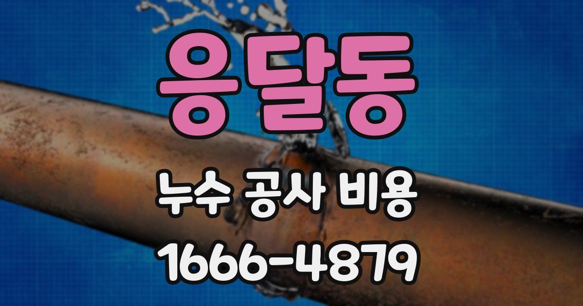 응달동 누수 공사 비용
