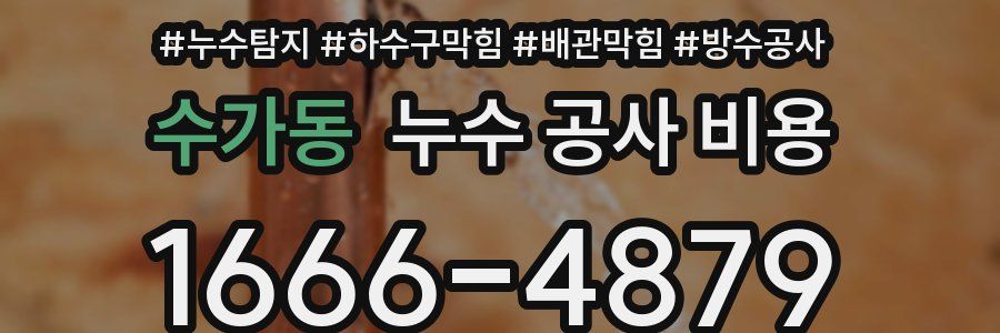 수가동 누수 공사 비용
