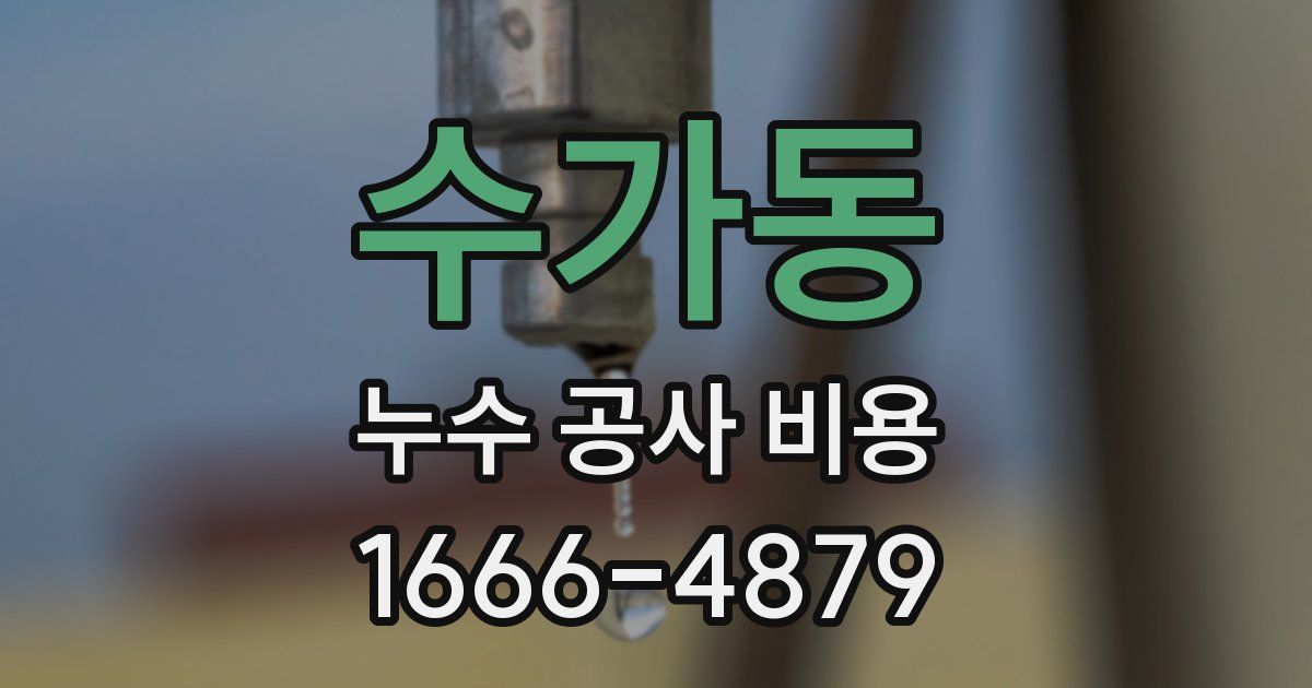 수가동 누수 공사 비용