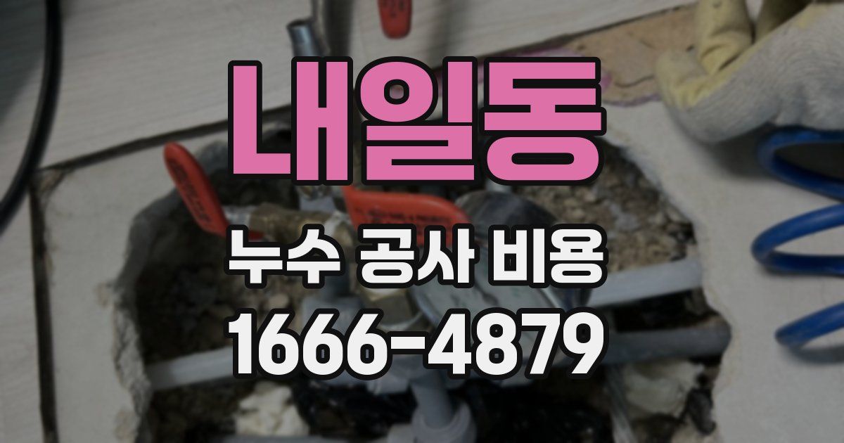 내일동 누수 공사 비용