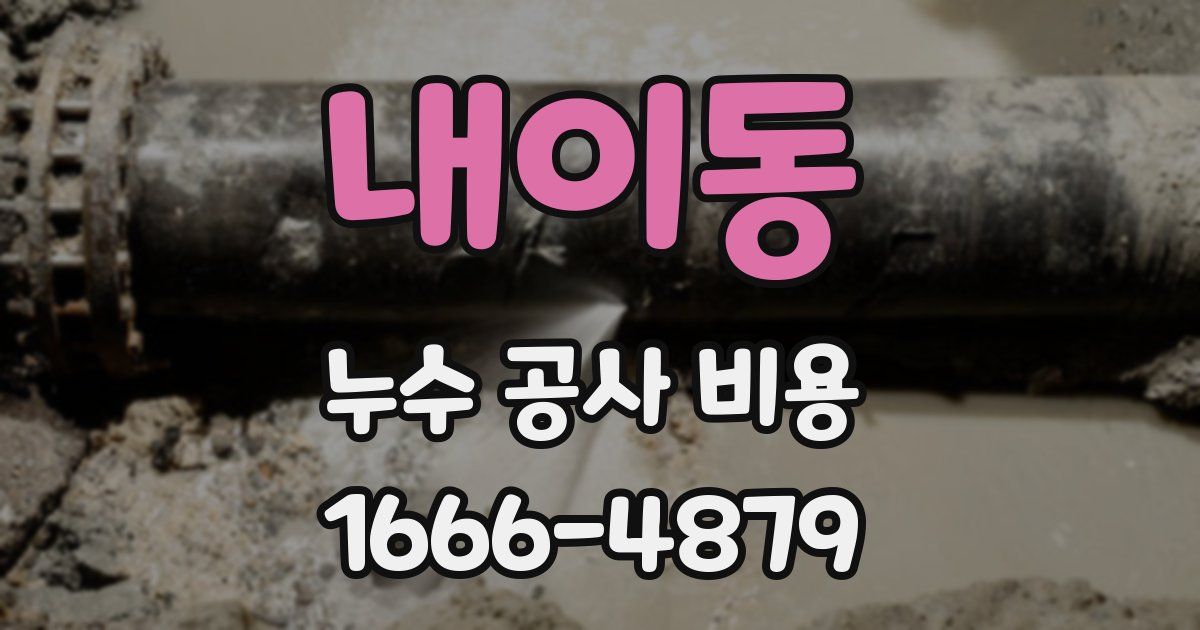 내이동 누수 공사 비용