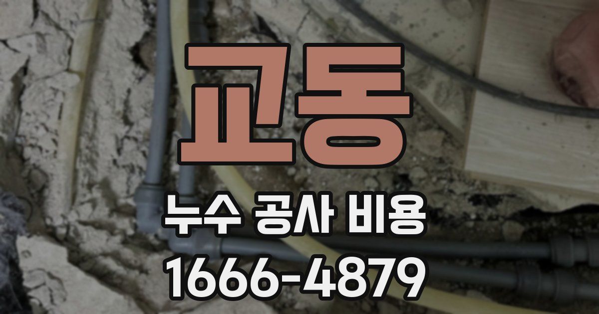 교동 누수 공사 비용