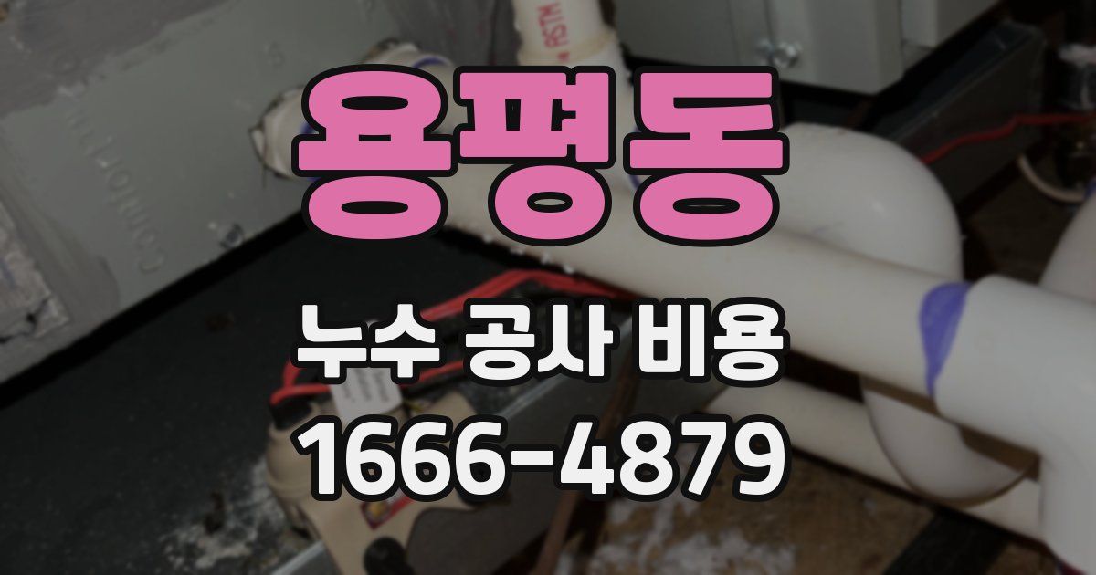 용평동 누수 공사 비용