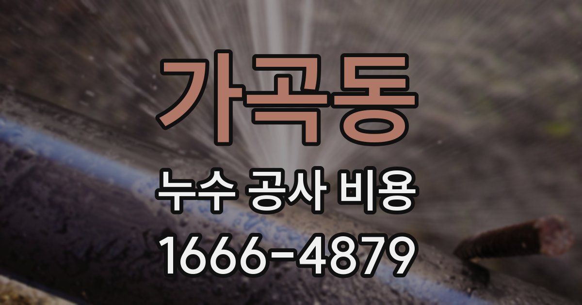 가곡동 누수 공사 비용