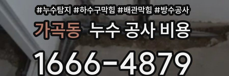 가곡동 누수 공사 비용