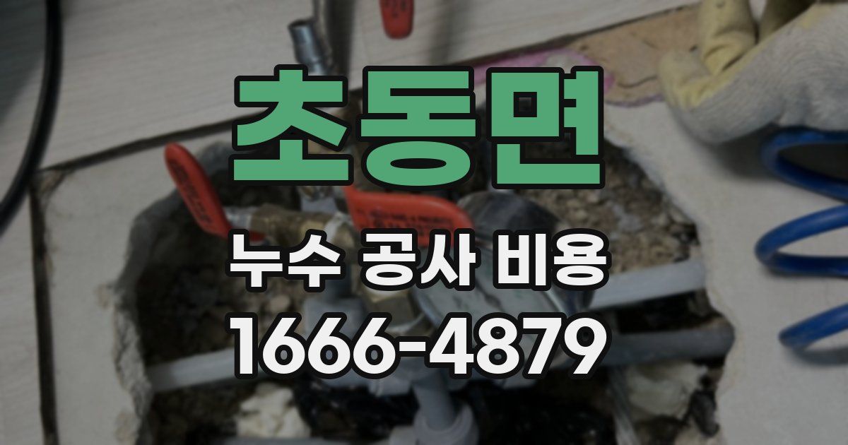 초동면 누수 공사 비용