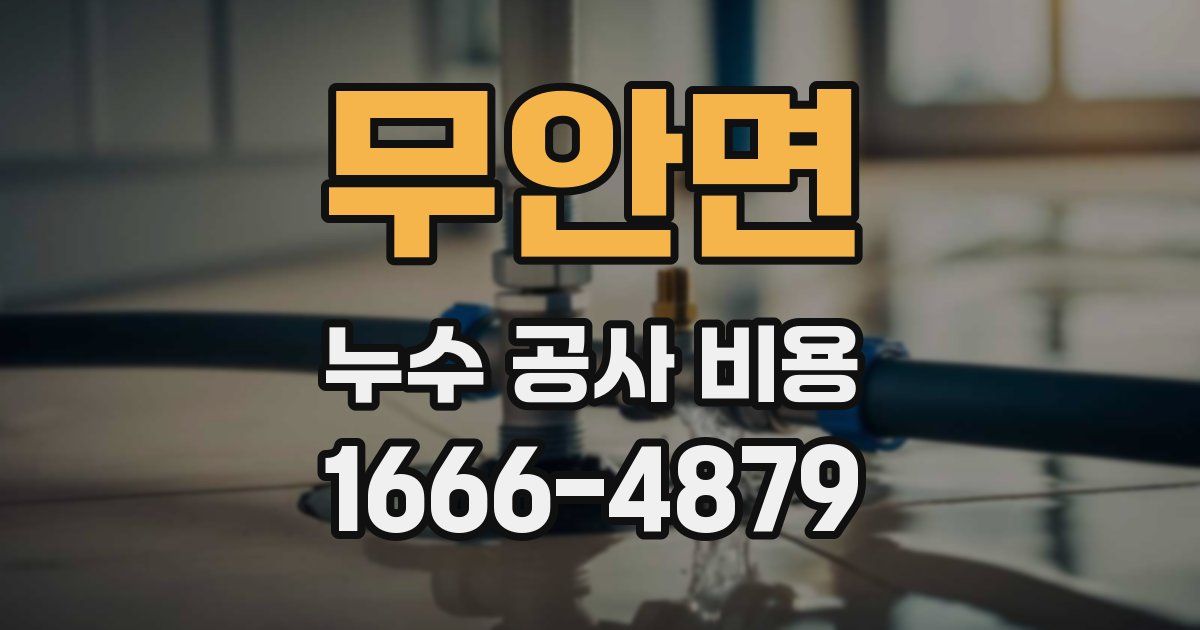 무안면 누수 공사 비용