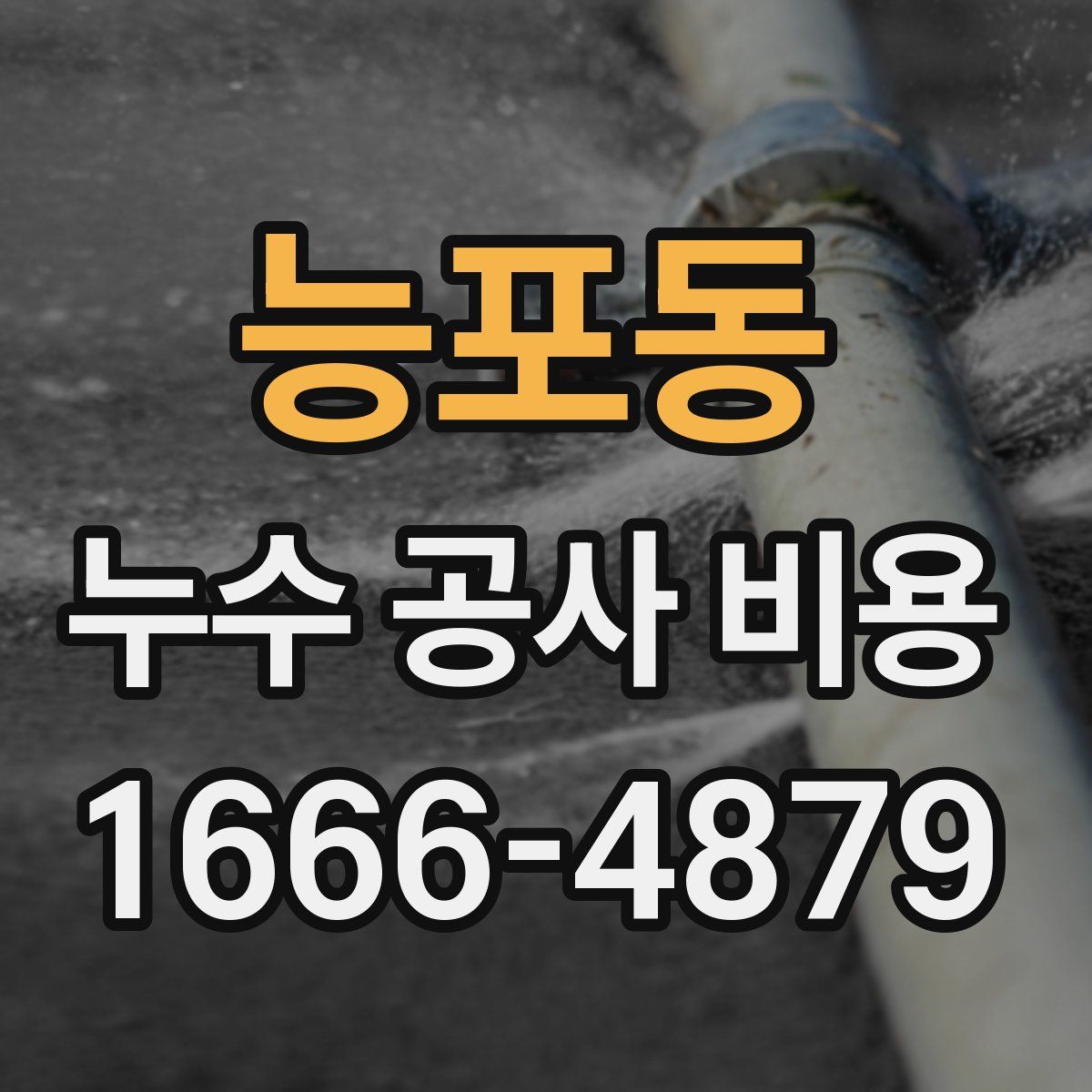 능포동 누수 공사 비용