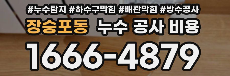 장승포동 누수 공사 비용