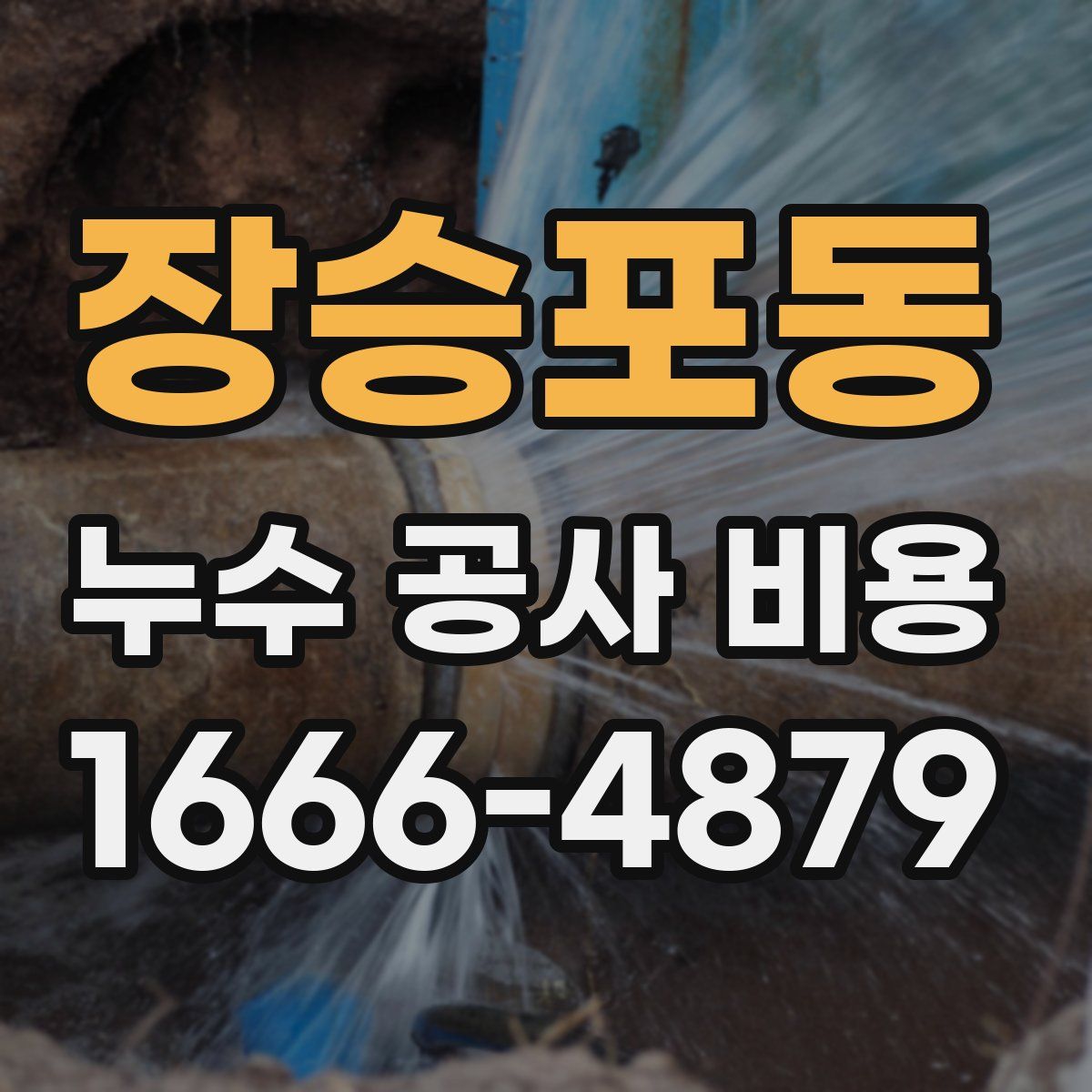 장승포동 누수 공사 비용