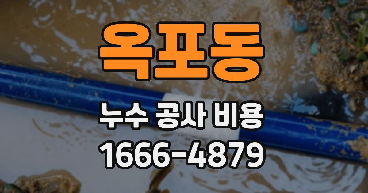 옥포동 누수 공사 비용
