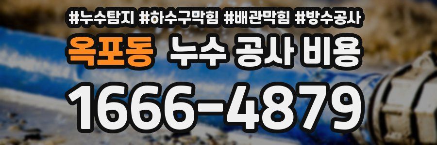 옥포동 누수 공사 비용