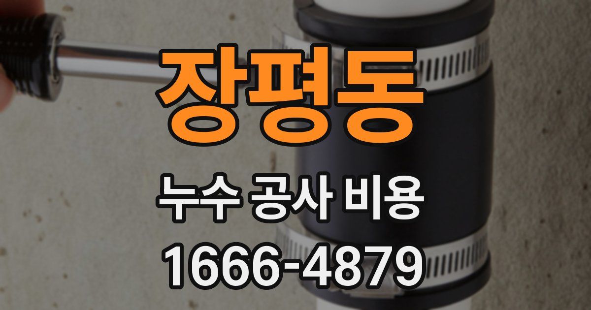 장평동 누수 공사 비용