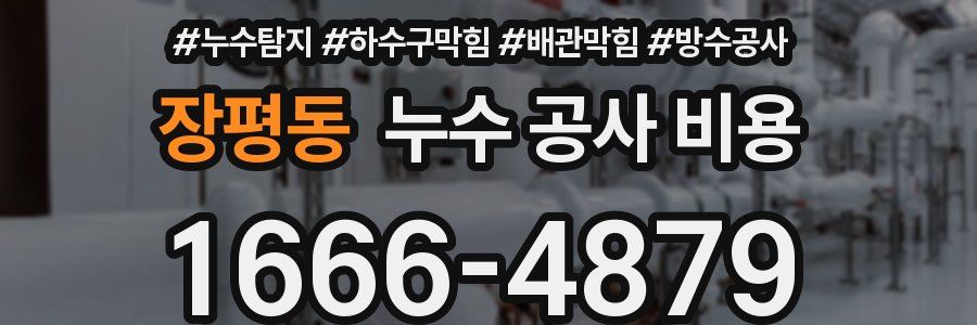 장평동 누수 공사 비용