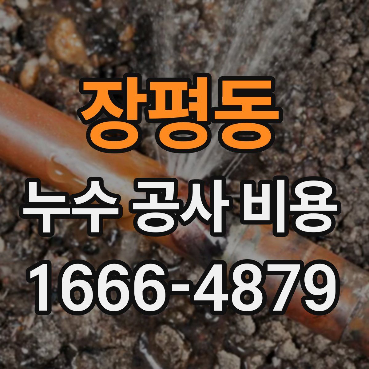 장평동 누수 공사 비용