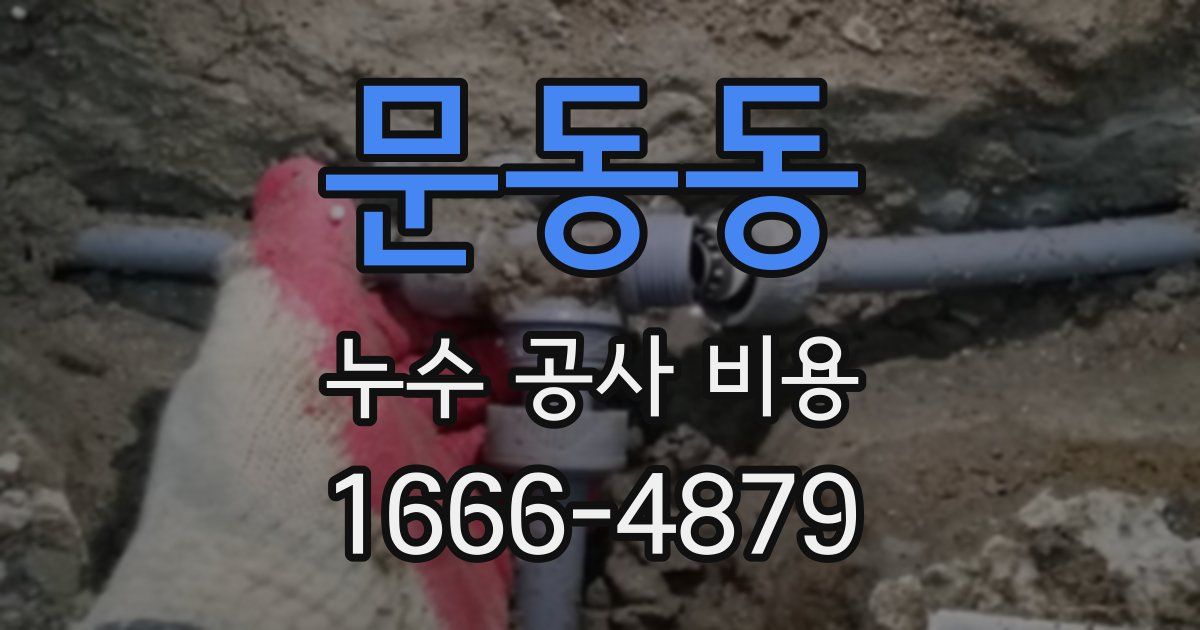 문동동 누수 공사 비용