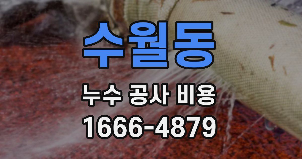 수월동 누수 공사 비용