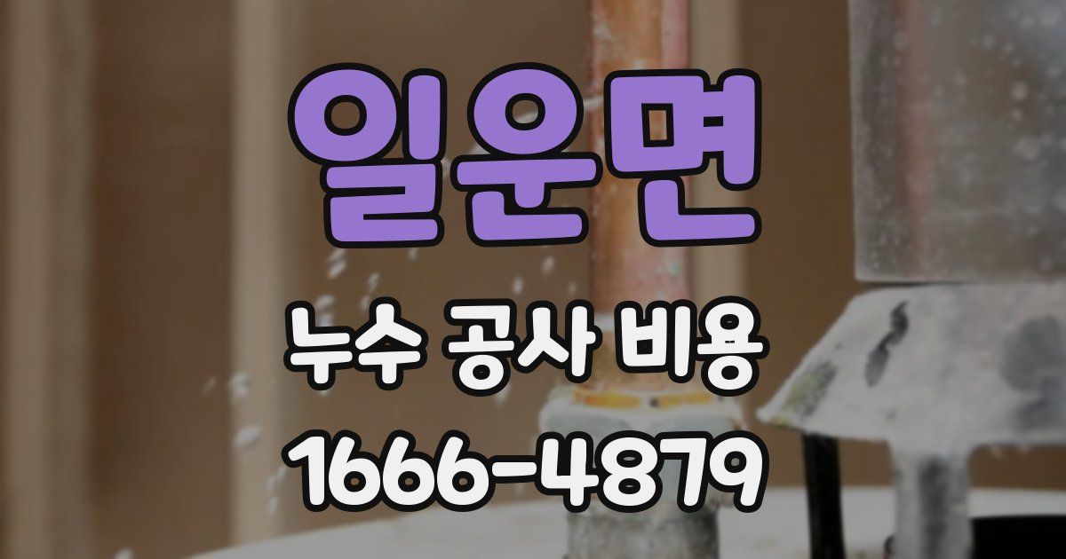 일운면 누수 공사 비용