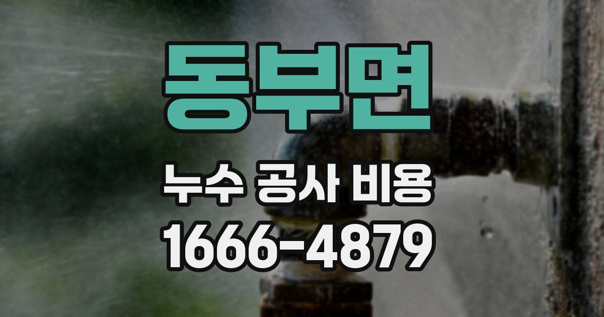 동부면 누수 공사 비용