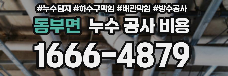 동부면 누수 공사 비용