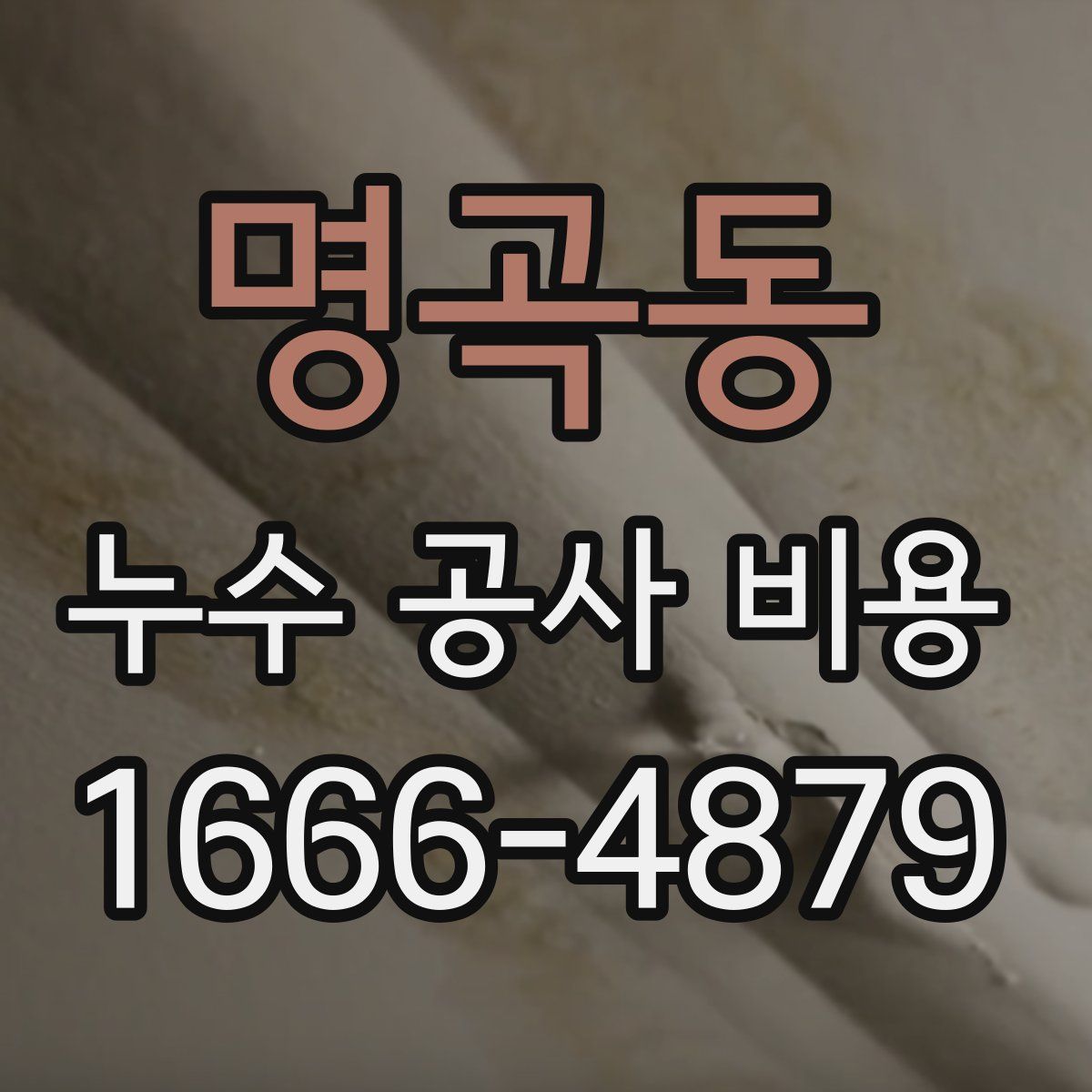 명곡동 누수 공사 비용