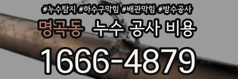 명곡동 누수 공사 비용