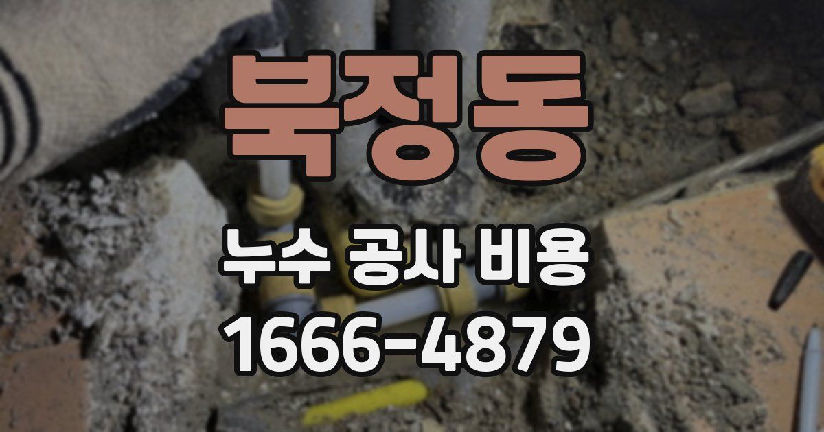 북정동 누수 공사 비용