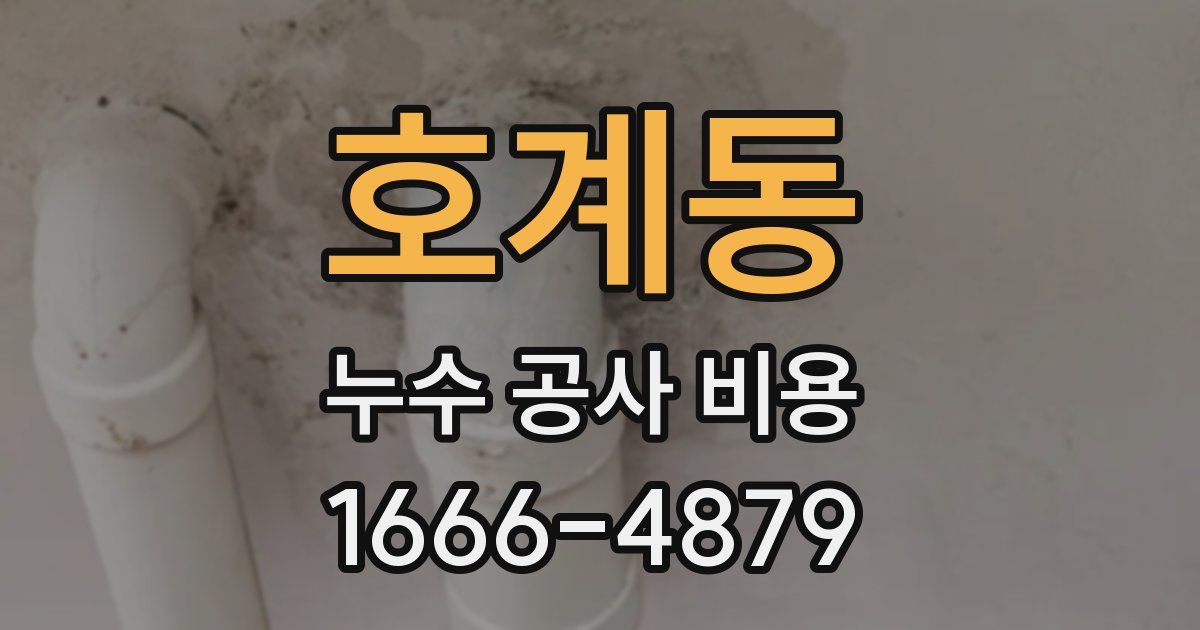 호계동 누수 공사 비용