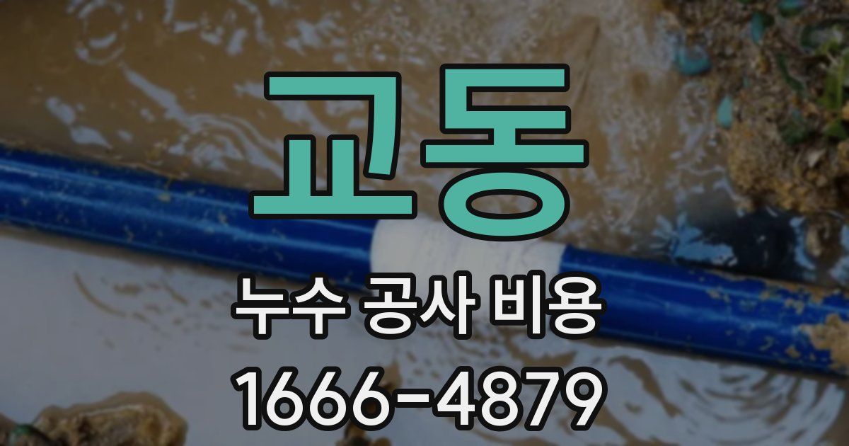 교동 누수 공사 비용